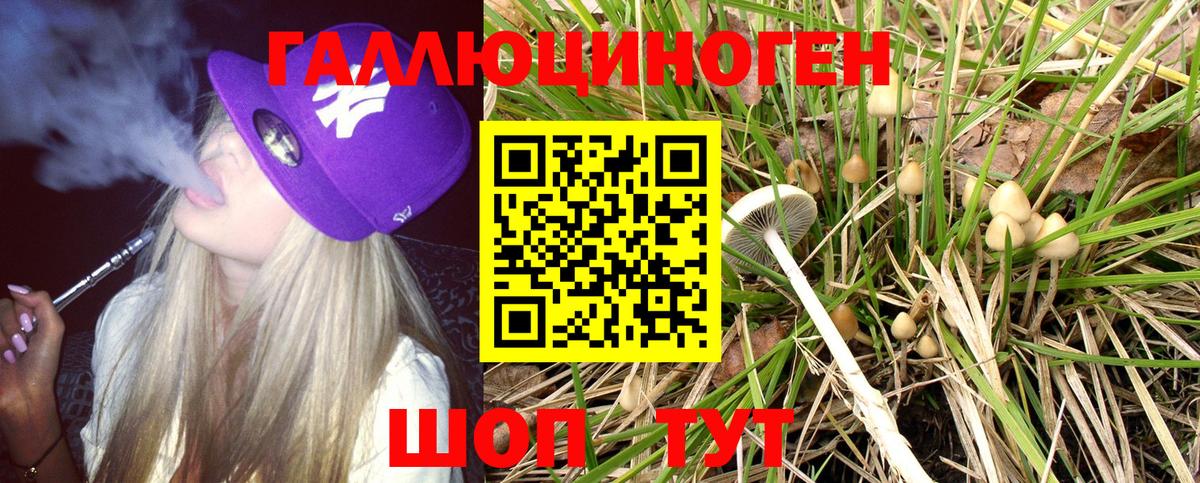 Псилоцибиновые грибы Magic Shrooms Вольск